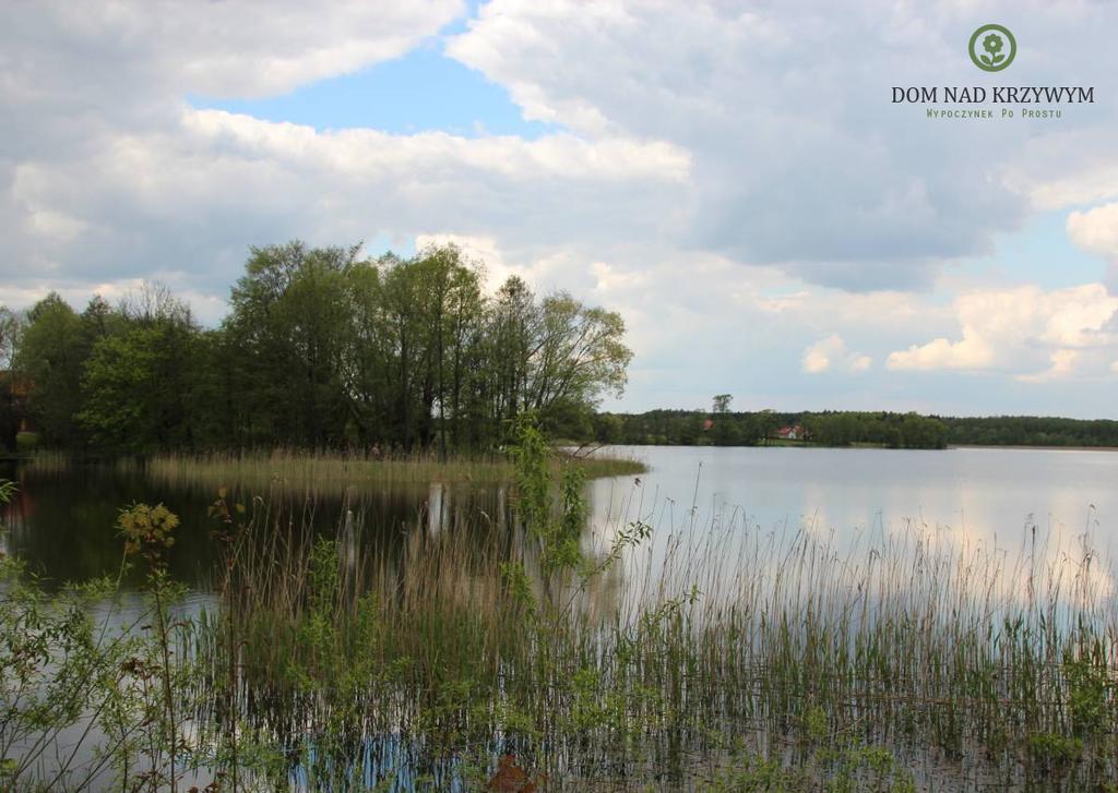 Dom Nad Krzywym - Prywatna Plaza, 2 Boiska, Sauna, Plac Zabaw Krzywe  Exterior foto